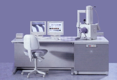 Microscopio Elettronico a Scansione Ambientale Microscopio Elettronico a Scansione Ambientale