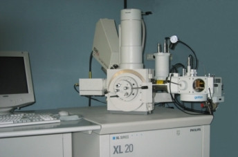 Microscopio Elettronico a Scansione