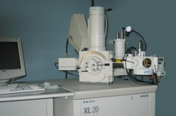 Microscopio Elettronico a Scansione Microscopio Elettronico a Scansione